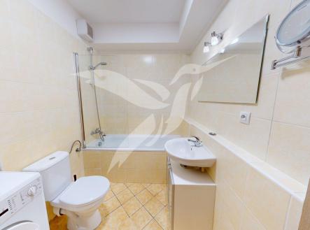 Byt-1kk-Zasadska-1-Praha-04302026_080431.jpg | Pronájem bytu, 1+kk, 43 m²