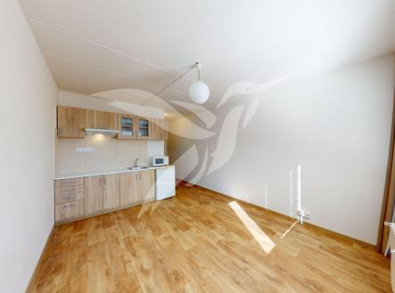 Byt-1kk-U-Vrbky-637-Horni-Briza-04302026_121128.jpg | Pronájem bytu, 1+kk, 24 m²