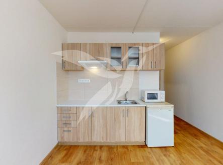 Byt-1kk-U-Vrbky-637-Horni-Briza-04302026_121204.jpg | Pronájem bytu, 1+kk, 24 m²