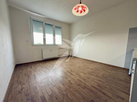IMG_4981.jpg | Pronájem bytu, 1+kk, 19 m²