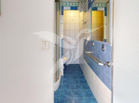 Byt-1kk-Mandlova-10-Plzen-Bathroom.jpg | Pronájem bytu, 1+kk, 20 m²