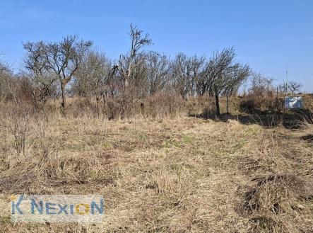 foto: 2 | Prodej - pozemek pro bydlení, 1 388 m²