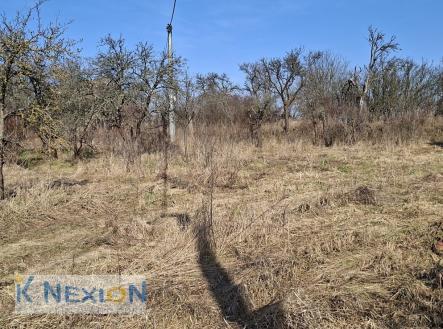 foto: 3 | Prodej - pozemek pro bydlení, 1 388 m²