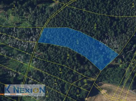 foto: 1 | Prodej - pozemek, les, 4 384 m²
