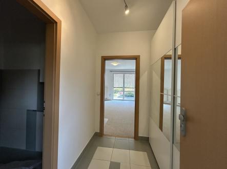 Pronájem bytu, 1+kk, 31 m²