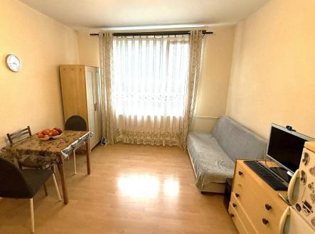 Bez popisku | Prodej bytu, 1+1, 37 m²