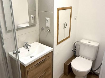 Bez popisku | Pronájem bytu, 1+kk, 26 m²