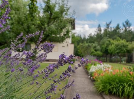 Pozemek Zálepy | Prodej - pozemek pro bydlení, 1 558 m²