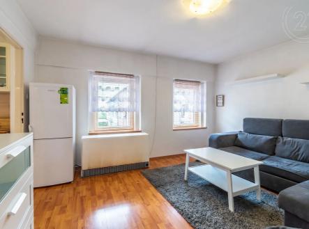 obývací pokoj s dřevěná podlaha a přirozené světlo | Pronájem bytu, 2+1, 37 m²