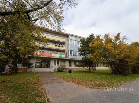 . | Pronájem - kanceláře, 60 m²