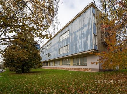 . | Pronájem - kanceláře, 57 m²