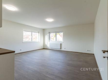 . | Pronájem bytu, 1+kk, 41 m²