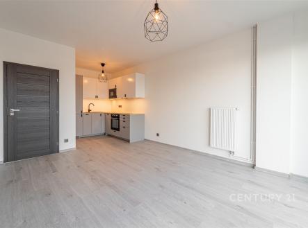 . | Pronájem bytu, 2+kk, 45 m²
