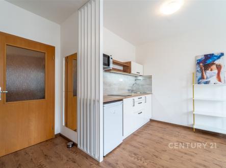 . | Pronájem bytu, 1+kk, 31 m²