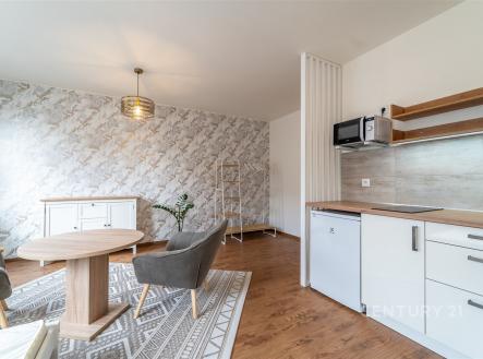 . | Pronájem bytu, 1+kk, 31 m²