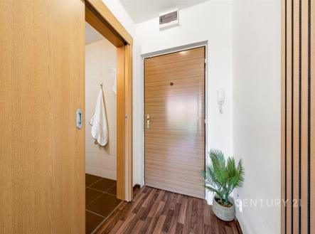 Vstupní hala s dřevěnými dveřmi, parketovou podlahou a dekorativní rostlinou, světlý a moderní interiér | Prodej bytu, 1+kk, 24 m²