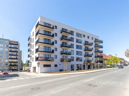Pronájem bytu, 1+kk, 43 m² obrázek
