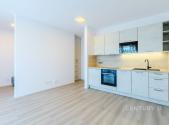 Pronájem bytu, 1+kk, 43 m²
