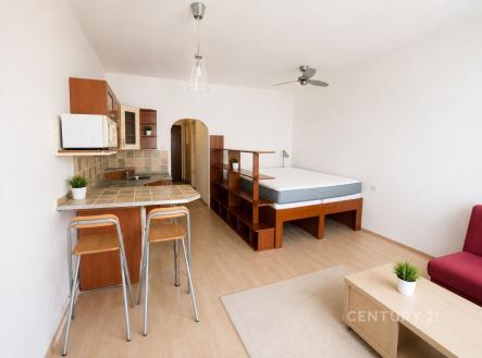 . | Pronájem bytu, 1+kk, 30 m²
