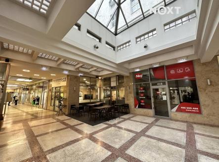 Pronájem - kanceláře, 666 m²