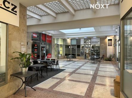 Pronájem - kanceláře, 666 m²