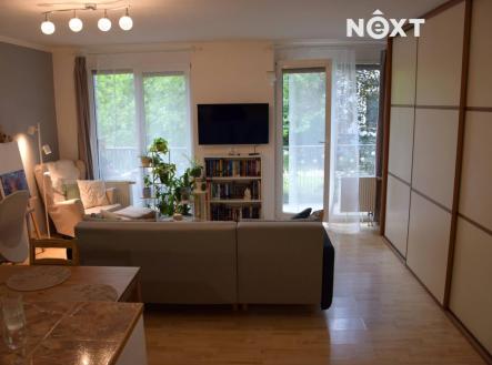 Pronájem bytu, 1+kk, 54 m²
