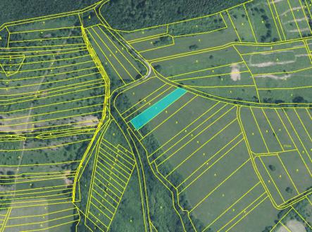 Fotka 7 | Prodej - pozemek, zemědělská půda, 7 758 m²