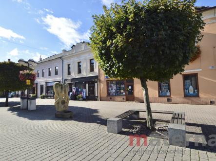 Bez popisku | Prodej - nájemní dům, 307 m²