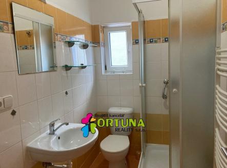 Krokova koup | Pronájem bytu, 1+kk, 27 m²
