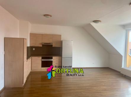 IMG_1634 | Pronájem bytu, 2+kk, 56 m²