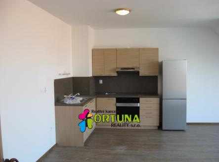 IMG_0916 | Pronájem bytu, 2+kk, 56 m²