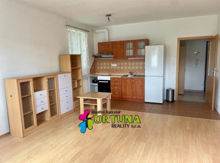 Pronájem bytu, 1+kk, 30 m² obrázek