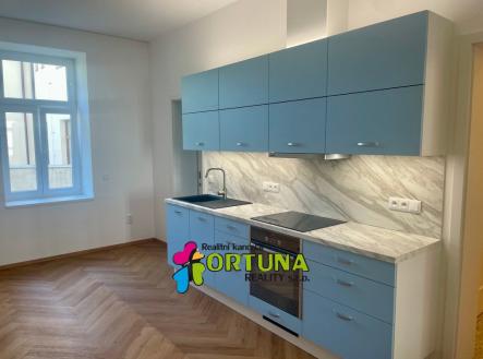 IMG_2842 | Pronájem bytu, 1+1, 45 m²