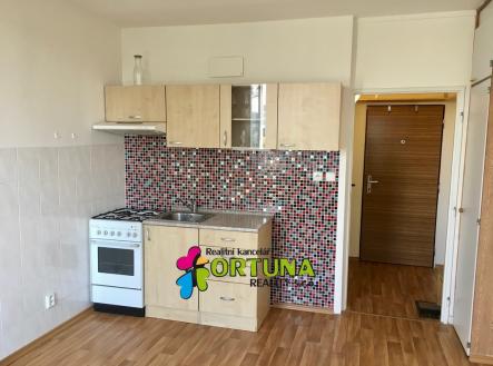 IMG_2091 | Pronájem bytu, 2+kk, 37 m²