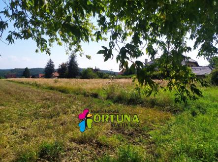 IMG_20210906_135725 | Prodej - pozemek pro bydlení, 5 887 m²