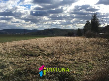 IMG_4003 | Prodej - pozemek pro bydlení, 5 887 m²