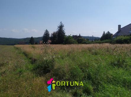 IMG_20210906_135713 | Prodej - pozemek pro bydlení, 5 887 m²