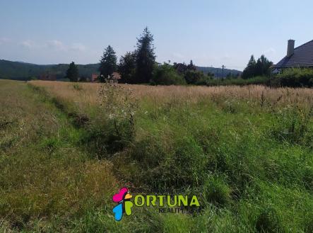 IMG_20210906_135715 | Prodej - pozemek pro bydlení, 5 887 m²