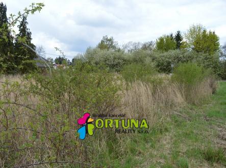 DSC_0009 | Prodej - pozemek pro bydlení, 5 887 m²