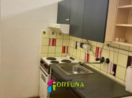 IMG_5110 | Pronájem bytu, 2+kk, 30 m²