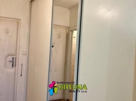 IMG_5112 | Pronájem bytu, 2+kk, 30 m²