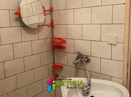 IMG_5108 | Pronájem bytu, 2+kk, 30 m²