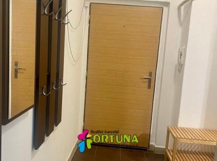 IMG_0602 | Pronájem bytu, 2+kk, 46 m²