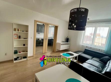 IMG_0115 | Pronájem bytu, 2+1, 60 m²