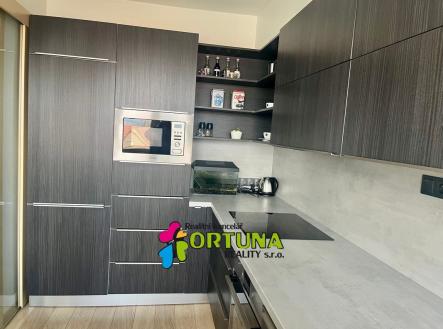 IMG_0111 | Pronájem bytu, 2+1, 60 m²