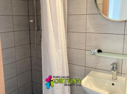 IMG_6213 | Pronájem bytu, 2+kk, 47 m²