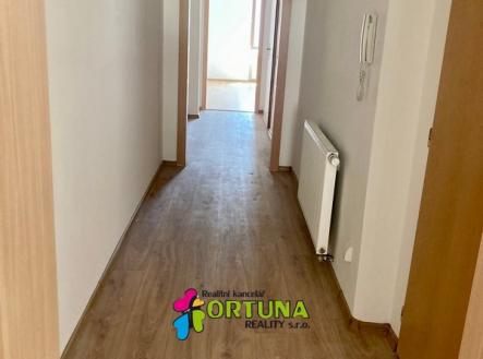 IMG_6216 | Pronájem bytu, 2+kk, 47 m²