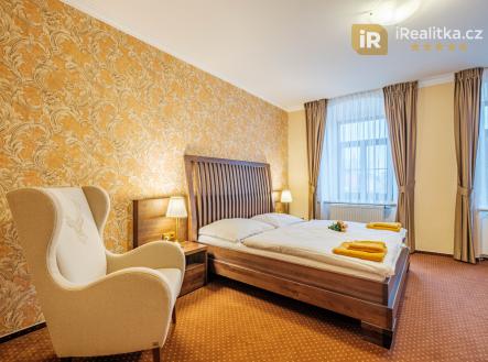 Prodej - hotel, 1 679 m²