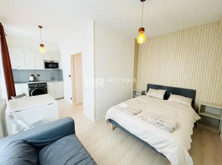 1.jpg | Pronájem bytu, 1+kk, 23 m²