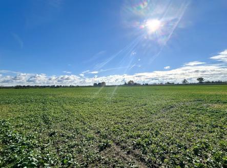 foto: 1 | Prodej - pozemek pro bydlení, 14 166 m²